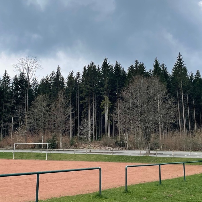 LED Flutlichtanlage FC Königsfeld 1954 e. V.
