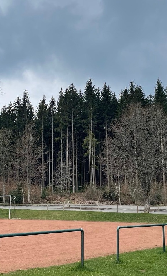 LED Flutlichtanlage FC Königsfeld 1954 e. V.