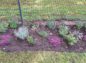Bienenfreundliche Blumeninseln
