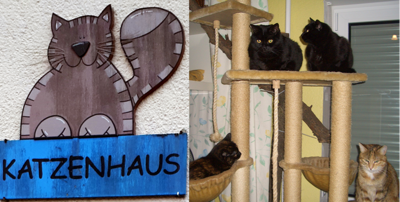 Katzenhaus Oberwürzbach
