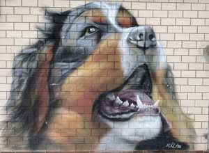 Artgerechter Aussenbereich für unsere Hunde