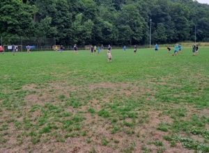 Instandhaltung Naturrasen FC 09 Niederwürzbach e.V.