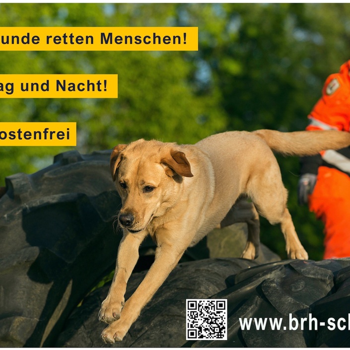 Geräte für die Ausbildung und das Training von Rettungshunden