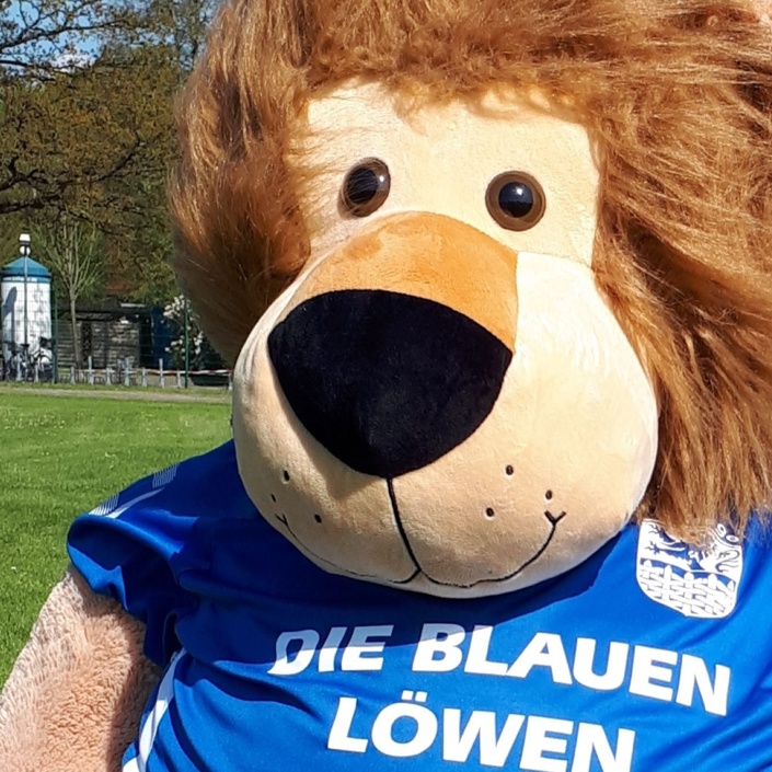 Bewegung für Blaue Löwen im SV Hage