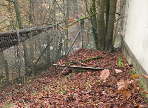 Kleintierbereich