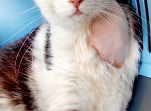 Wenn das Schicksal keine Zeit zum Sparen lässt