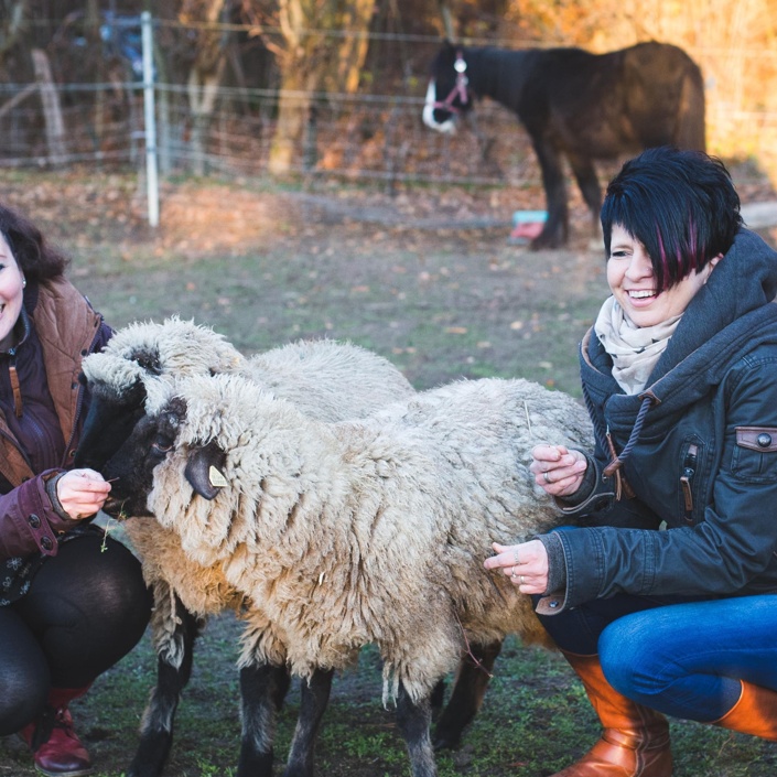 Eine neue Weide für unsere Tiere