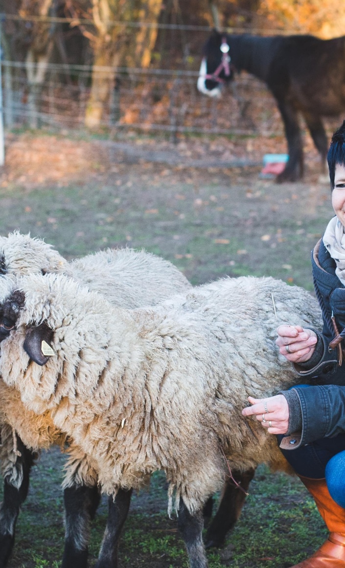 Eine neue Weide für unsere Tiere