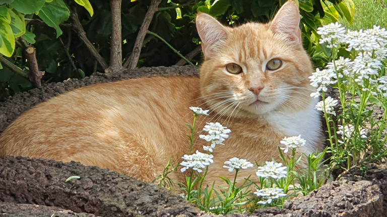 Smilla und Sammy