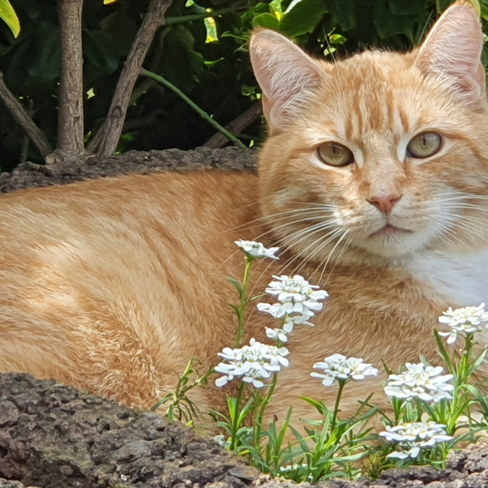 Smilla und Sammy