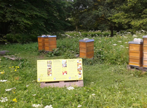 Lehrbienenstand an der Schillerwiese