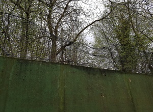 TC BW Soltau - Sanierung Tenniswand