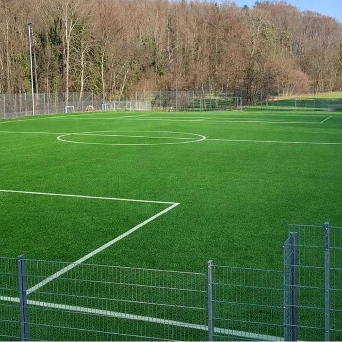 Nachhaltiger Kunstrasen für die Spvgg. Bollschweil/Sölden