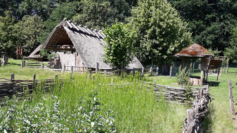 Celtic Fields beim Bronzezeithof (VVV Uelsen e.V.)