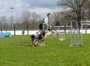 Flutlichtanlage für das Agility Team Heek