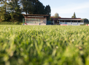 Sportverein Immenried Tor