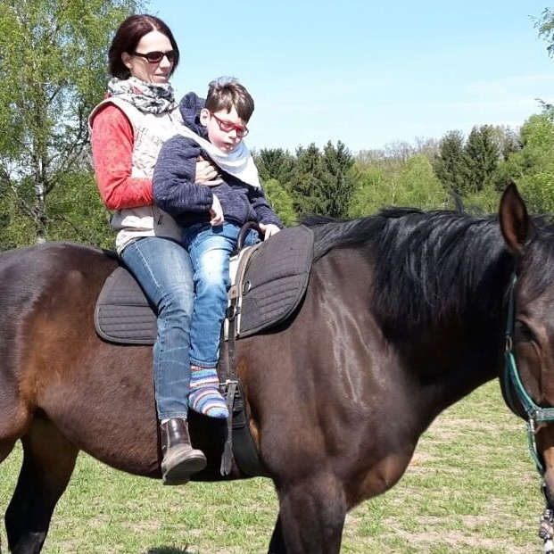 Neue Therapiegurte für das Reitwerk e.V.
