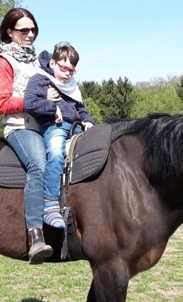 Neue Therapiegurte für das Reitwerk e.V.