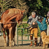 Roundpeneinfassung für Reittherapie