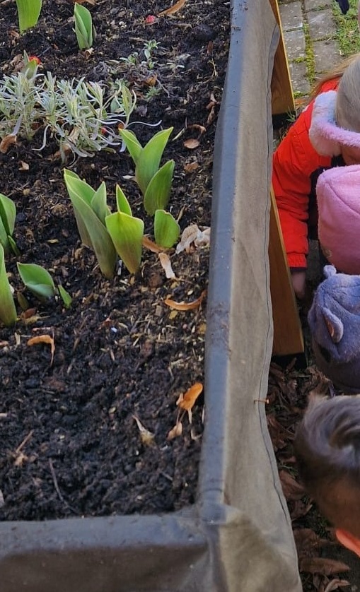TSV Gartenkids