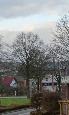 Beschaffung von Sitzbänken für den Friedhof