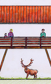 Hirschbrücke Bilsteintal