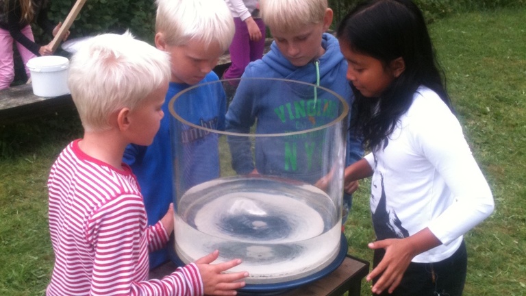 die Elbe: Wirbel - Wellen - stilles Wasser?