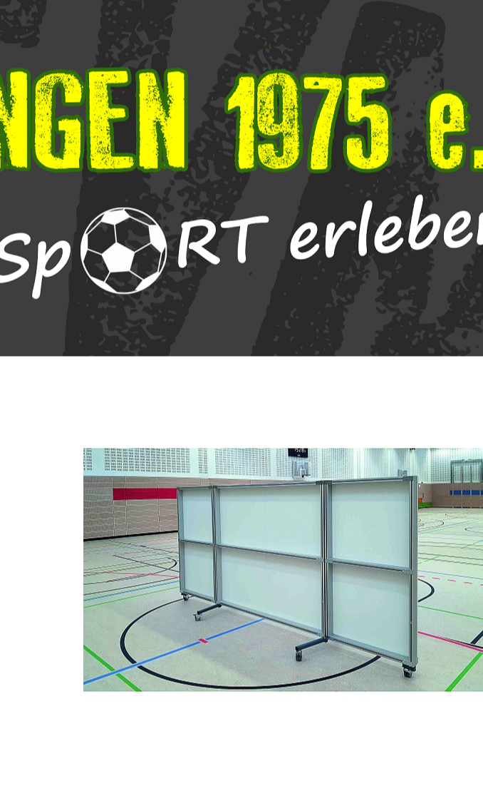 Spiegelwand für unsere Tanzgruppe