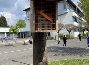 Ein Schulgarten für Bammental