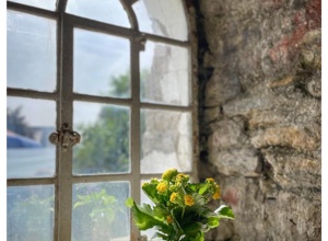 Historisches digital erleben - Sanierung der Lüntener Mühle
