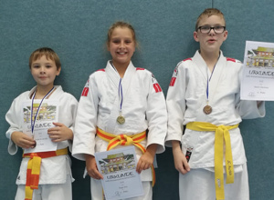 Judo-Sport-Matten