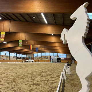 Reiten auf dem Dressurviereck 40m x 20m, 10min