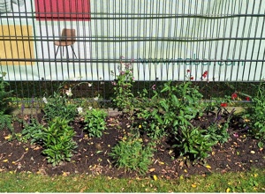 Bienenfreundliche Blumeninseln