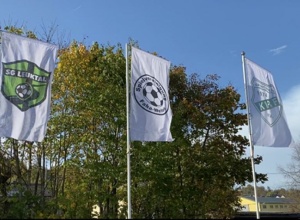 Neubau Ballfangzaun Sportplatz Kirf