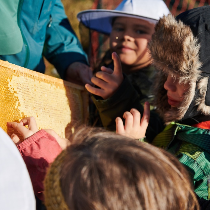 Imkereiprojekt im Kinderhaus