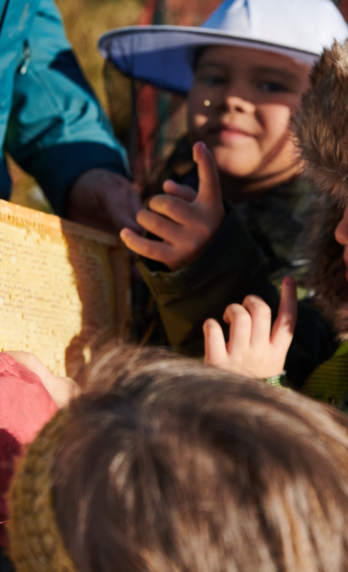 Imkereiprojekt im Kinderhaus