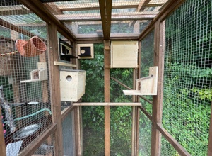Auswilderungsvoliere Eichhörnchen