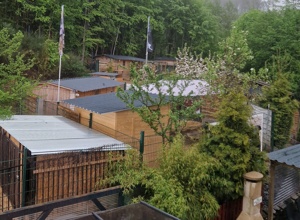 TIERHEIM , GNADENHOF , AUFFANGSTATION BRAUCHT HILFE