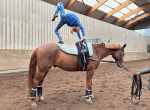 Zukunft auf vier Hufen