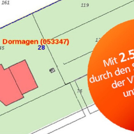 Grüne Hecke statt brauner Tannen