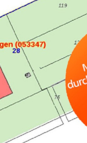 Grüne Hecke statt brauner Tannen