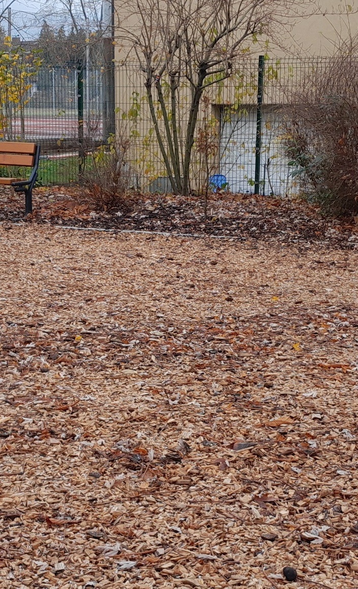 Niedrigseilgarten für die Kita Sonnenschein in Niedernberg