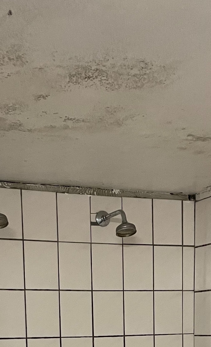Renovierung der Kabinen und Duschräume für unsere Fussballer*innen