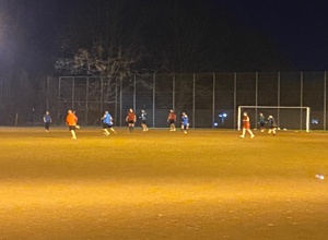 Kunstrasenplatz für den ASV