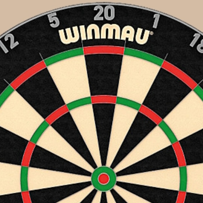 Dartsport im OTB