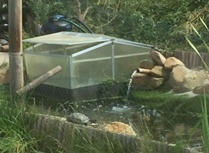 Schildkrötenhilfe