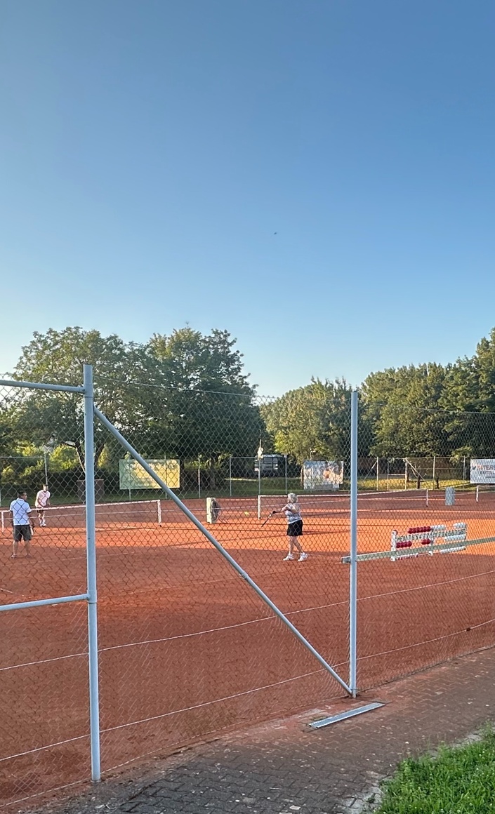 Erneuerung der Zaunanlage