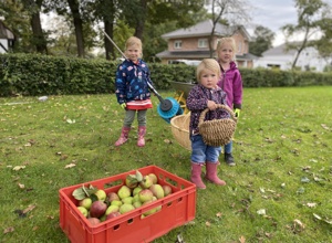 Apfelsaft von den Streuobstwiesen der Projektgruppe "WiesenWunder"