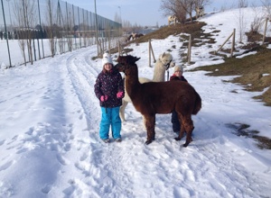 kids to life