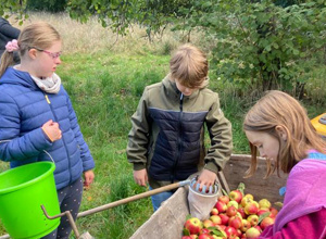 Start up Lindenhof e.V. Initiativen für Mensch und Natur